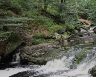 Gite Ardennes Au Coin Du Feu Jacuzzi Sauna Et Nature 雅尔莱 外观 照片